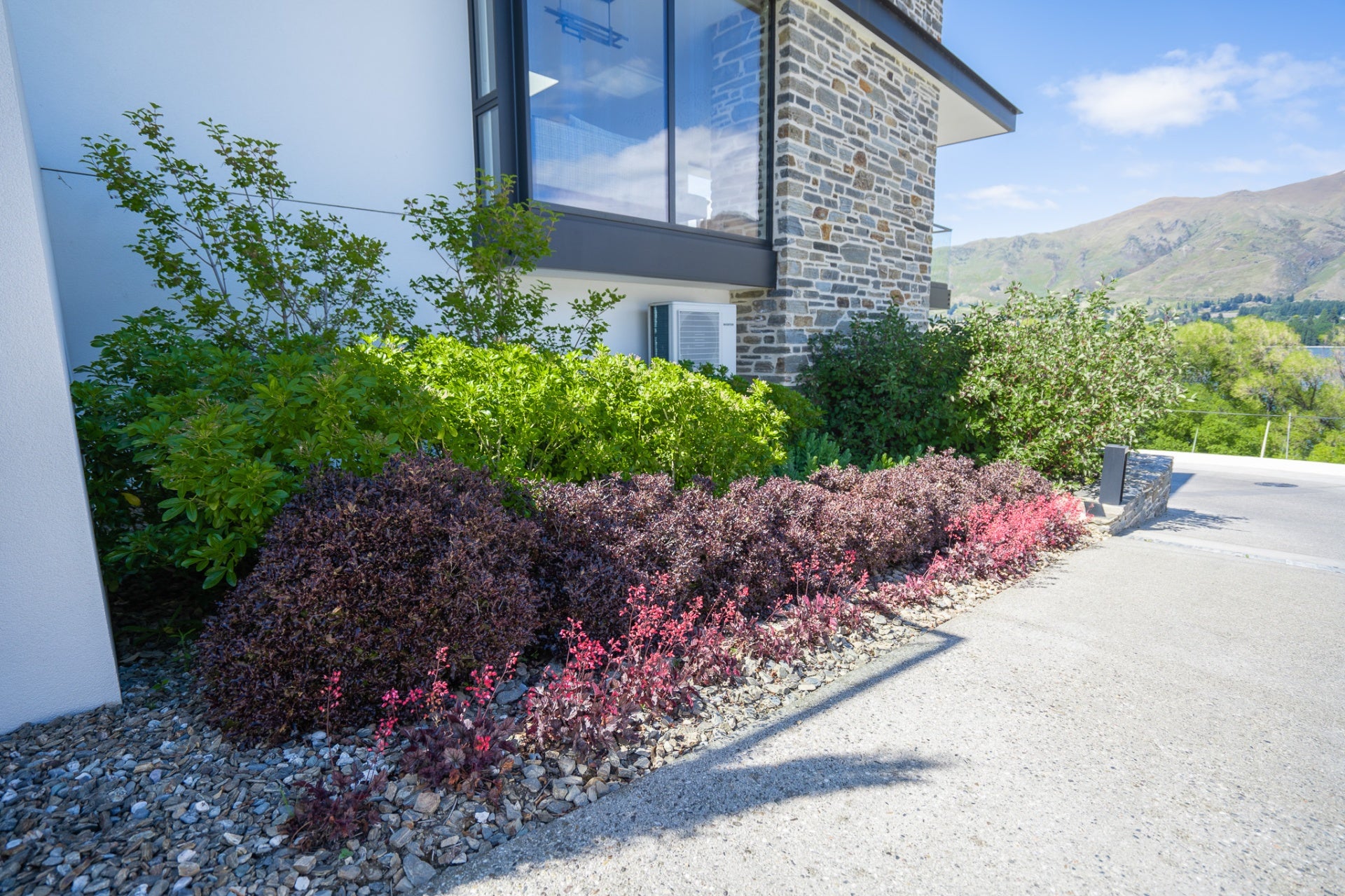 Shrubs