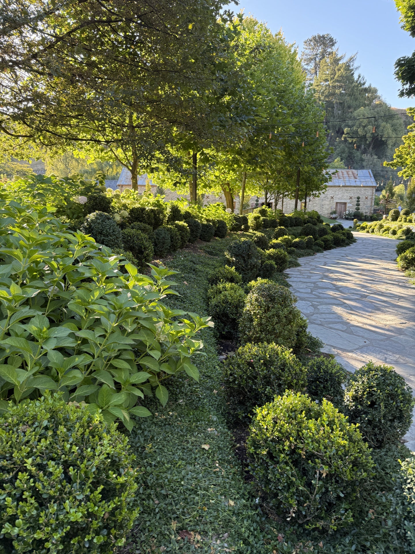 Evergreen Structure